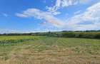 Teren de 12000 mp, în Pădureni (Șendriceni) - 1