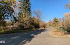 Teren 19.470 mp, investitie ideala, Green City -1 Decembrie, Ilfov - 13