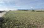 Teren de vanzare Sibiu - Selimbar zona Dealul Daii - Platoul Zorabia - 3