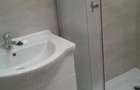 Inchiriez studio pe termen lung - 3
