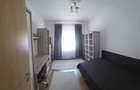 Apartament cu 3 camere Torontalului de inchiriat - 3