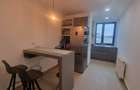 Apartament cu 2 camere decomandat în Herăstrău - 10