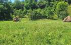 Teren de 876 mp, în Valea Doftanei - 5