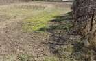 Vand teren intravilan- zona buna - 1