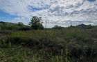 Teren Construcții intravilan de 647 mp, în Paleu - 3