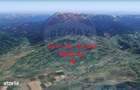 Teren Tohanu Nou, intrare Sohodol, 4800mp - 3