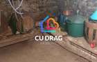 Casa Aciliu complect renovata si utilata teren 1500 mp - 5