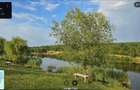 Vand 3 parcele teren Tocile - 4