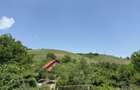Cabana DE VANZARE In sat Bobohalma - 7