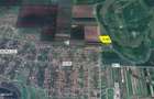 2 ha teren de vanzare in Vladimirescu- Cicir - 6