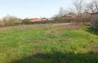 Teren de vanzare Dumbrava Rosie excelent pentru investiti - 5