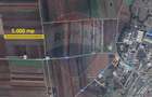 Teren agricol extravilan de 5000 mp, în Tărlungeni - 5