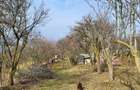 Teren Intravilan 43Ari zona Ortelec-Zalau intre case 4800eur/ar - 7