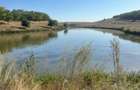 Teren de 900 mp, în Tămădău Mic - 6