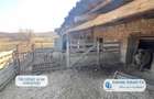 Antony Estate | Oportunitate de investitie, Ferma Padurea Galbena - Cehal, Marghita - 11