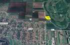 2 ha teren de vanzare in Vladimirescu- Cicir - 1