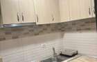 Apartament cu o camera Tatarasi - 5