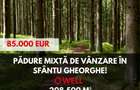 Padure mixta de vanzare in Sfantu Gheorghe! - 9