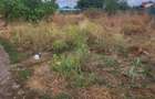 Teren Construcții de 400 mp, în Măgurele - 5