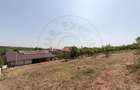 Casă cu 4 camere cu Teren 1250 Mp în Costești - 9