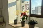 Apartament 1 camera Pacurari - 8