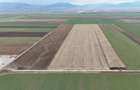 Teren agricol de 15000 mp, în Prejmer - 9