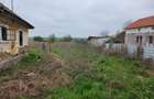 Casa + teren Rogova 7000mp - 9