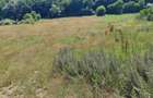 Teren de vanzare 2.900 mp, zona linistita - 4