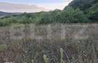 Teren extravilan, 5.100 mp, zona Livezeni