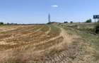 57 Hectare Teren centura cu front 485 ml pretabil parc logis - Timisoara (Timis)