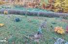 Vand apartament 2 camere Racadau, 55 mp, mobilat ?i utilat - 2
