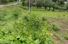 De vanzare teren intravilan 1,31 ha , Vornicenii Mici-Suceava - 5