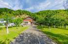 CASA  cu TEREN  generos , in linistea naturii - 14