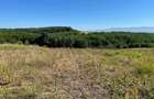 Teren intravilan sat Cuied Zona de Vis - 1