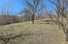 Teren extravilan in Brebu(Pietriceaua)--9104mp--50.000e - 17