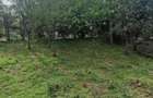 Casa de Vanzare | Zona A Ocna Mure? - 2