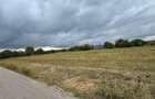 Vand teren Intravilan 1400 MP in Parcul National Comana - Vlad Tepes - Giurgiu - 10