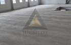 2750 MP HALA BALOTESTI| 5170 MP TEREN| A3| A0| DN1 - 8