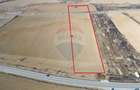 Teren extravilan 10000 mp langa Medias - oportunitate de ... - 2