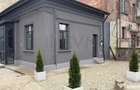 Casa reconsolidata si renovata complet - Mosilor-Traian - Bucuresti (Bucuresti-Ilfov)