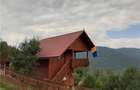 Casă cu Teren 6000 Mp în Câmpeni - 3