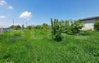 Teren de vanzare intravilan, 72 ari, zona Salcea - 3