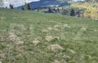 Teren in Vatra Dornei, str Rosu, 8450 mp, extravilan + intravilan - 1
