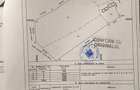 Teren intravilan 8861m - ideal pt ferma, sere - Com Ostrov Sat Almalau - 1
