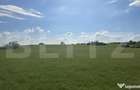 Teren agricol, comasat, apa, curent, 755000 mp, langa autost - 1