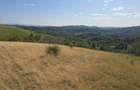 15 Hectare teren la munte ?inutul Padurenilor - 4