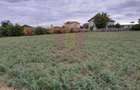 COSERENI (IL) - SE VINDE TEREN 2000 MP LA SOS BUCURESTI -URZICENI - 3
