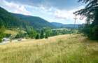 Teren intravilan in Valea Putnei, Bucovina - acces direct din DN17
