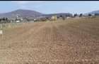 Teren intravilan 1.550 mp Sara?el Drum privat Curent ?i apa - 3
