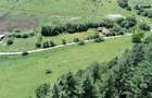 Teren intravilan Micesti - 6